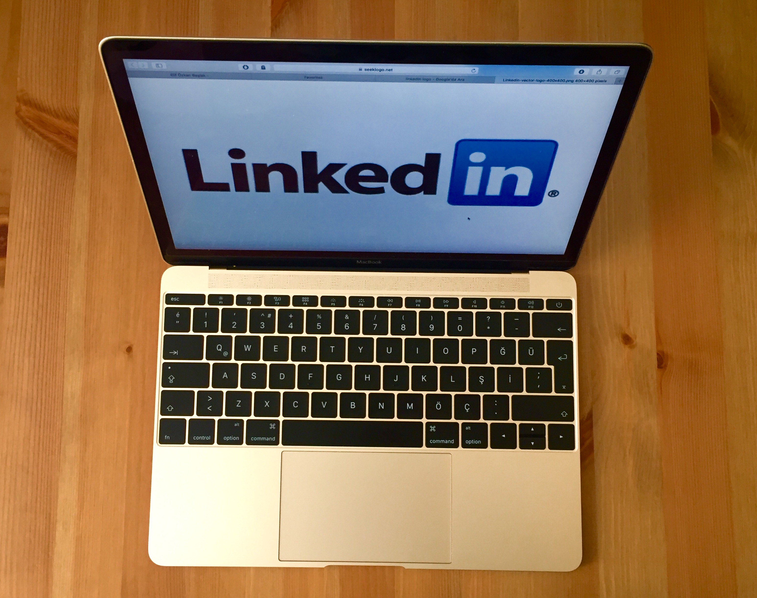 Linkedin Bağlantıları