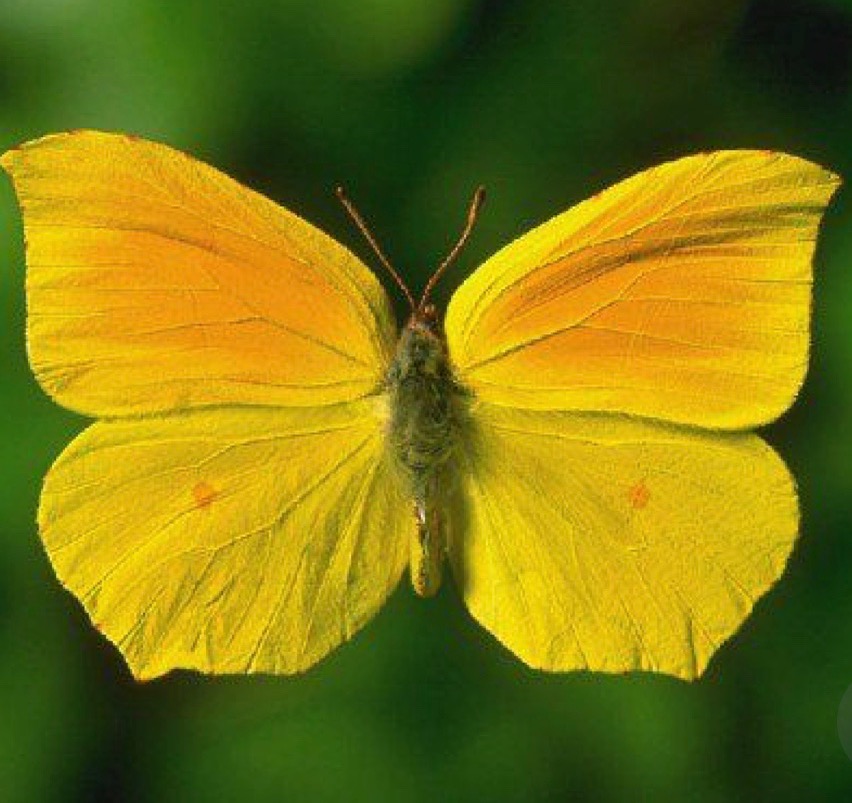 ‘Gidenle gidilmiyor’ derler…