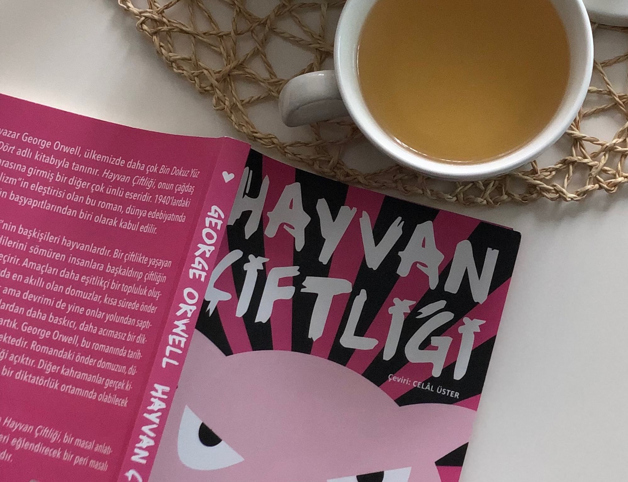 George Orwell, Hayvan Çiftliği 